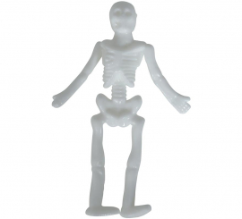 Box of 24 Elastic Skeletons of 10 cm