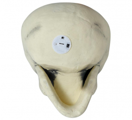 Caveira 32 cm de Espuma