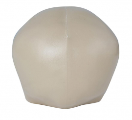 Crânio sem queixo 20 cm