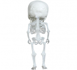 Big Head Skeleton Pendant 15 cm