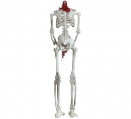 Headless Skeleton Pendant 37 cm