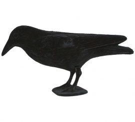 Black Crow 30cm