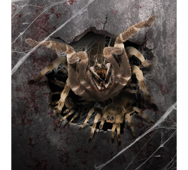 Spider Hole Wall Sticker Decoration 16x16 cm