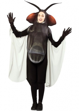 Fato de mosca para adulto