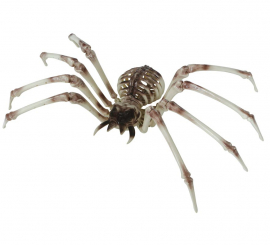 Spider Skeleton 85x35 cm