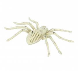 Esqueleto de aranha 24 cm