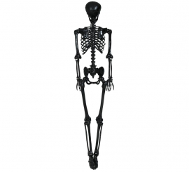 Black skeleton 90 cm