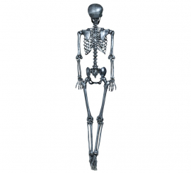 Silver skeleton 90 cm