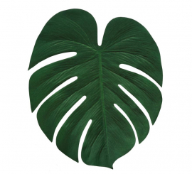 Kit de 4 Folhas de Palmeira de 34x30 cm