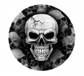 Pack of 6 Fearsome Skull Plates of 23 cm