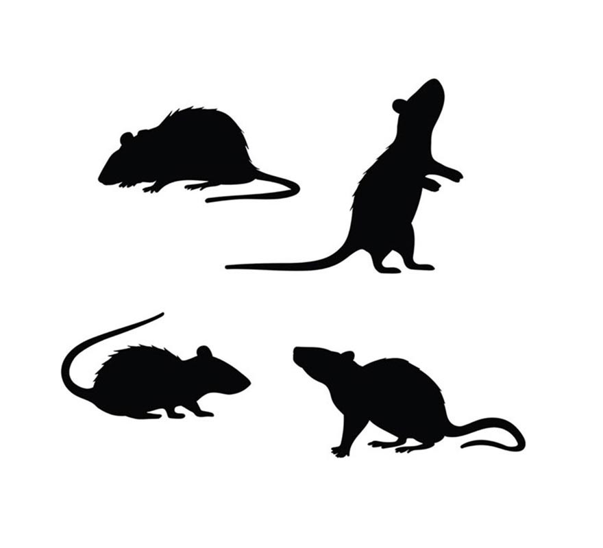 Pack of 4 Black Rat Silhouettes-B