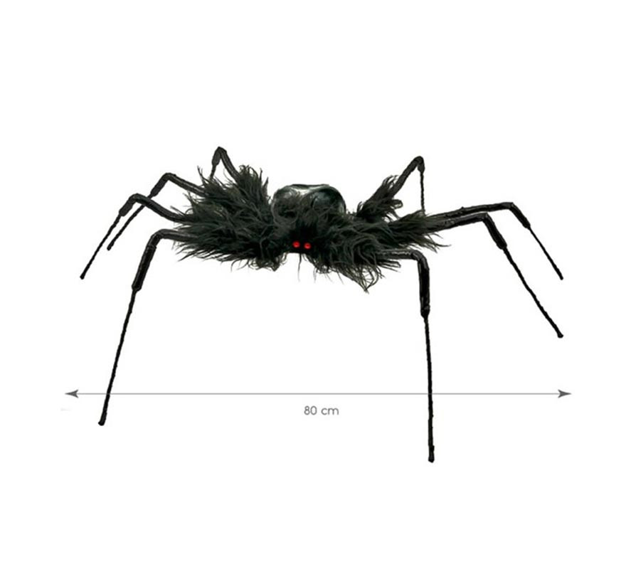 80cm Black Hairy Tarantula 80cm Black Hairy Tarantula